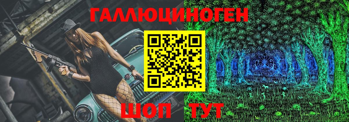 Галлюциногенные грибы MAGIC MUSHROOMS  Вход с VPN  Лесной 
