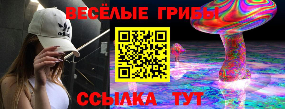 Галлюциногенные грибы MAGIC MUSHROOMS Лесной